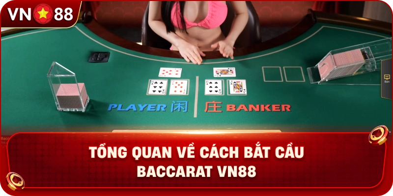tong-quan-ve-cach-bat-cau-baccarat-vn88